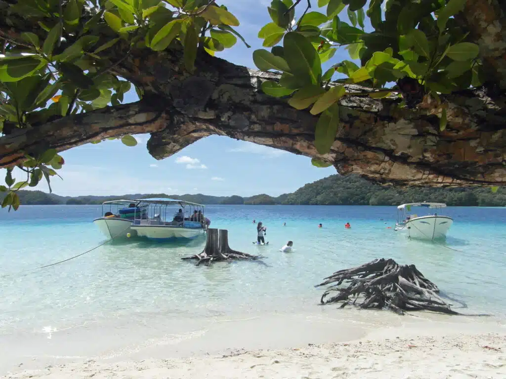 A boat pulling up at a beach in Palau.