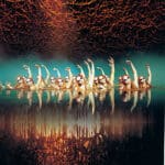 O by Dirque du Soleil.