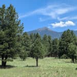 The view from the Humphrey Peak Lookout on the US-180W in Arizona.