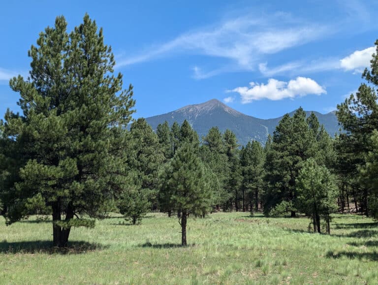 The view from the Humphrey Peak Lookout on the US-180W in Arizona.