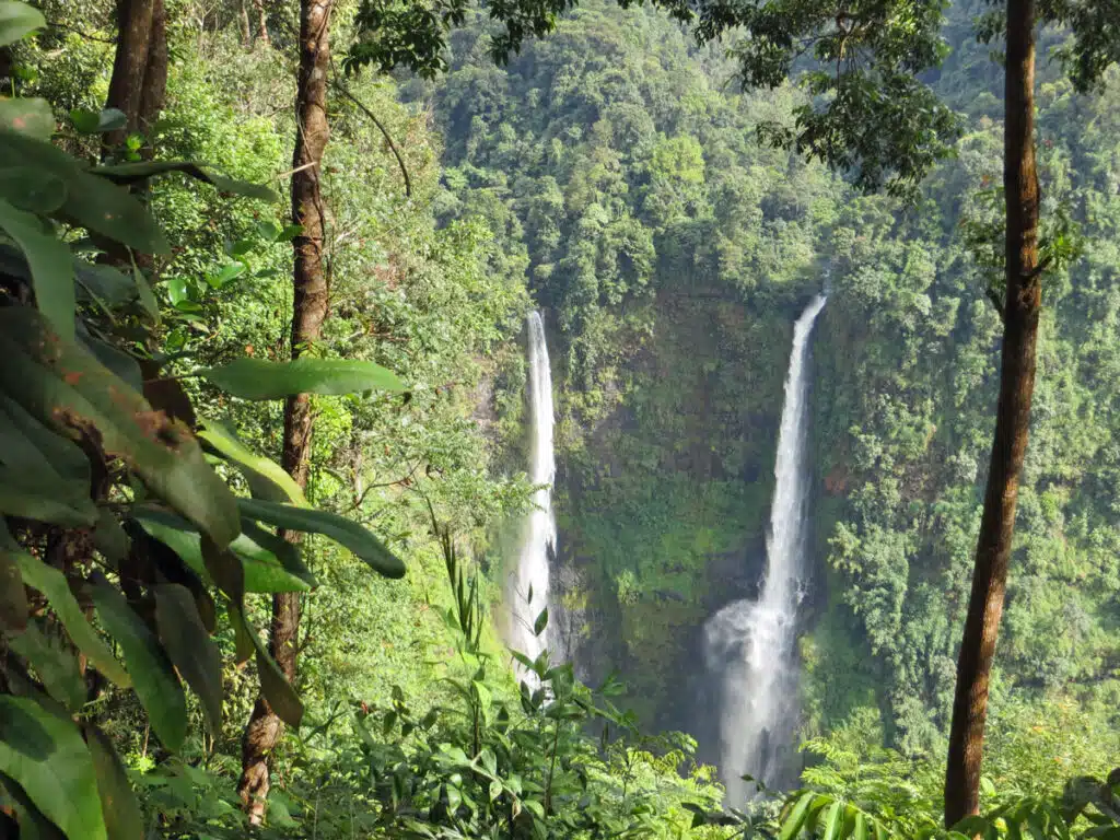 Tad Fan on the Bolaven Plateau.