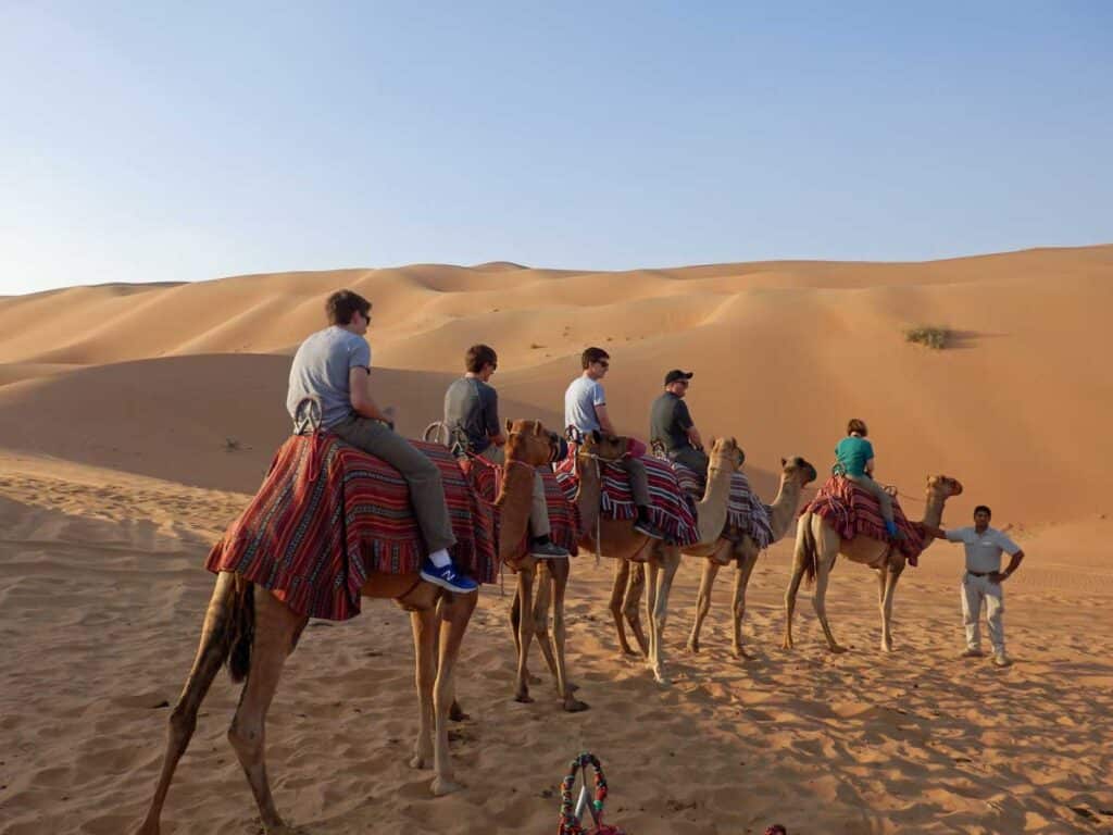 Camel riding in Abu Dhabi.