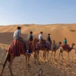 Camel riding in Abu Dhabi.