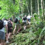 The cross-island trek on Rarotonga, the Cook Islands.