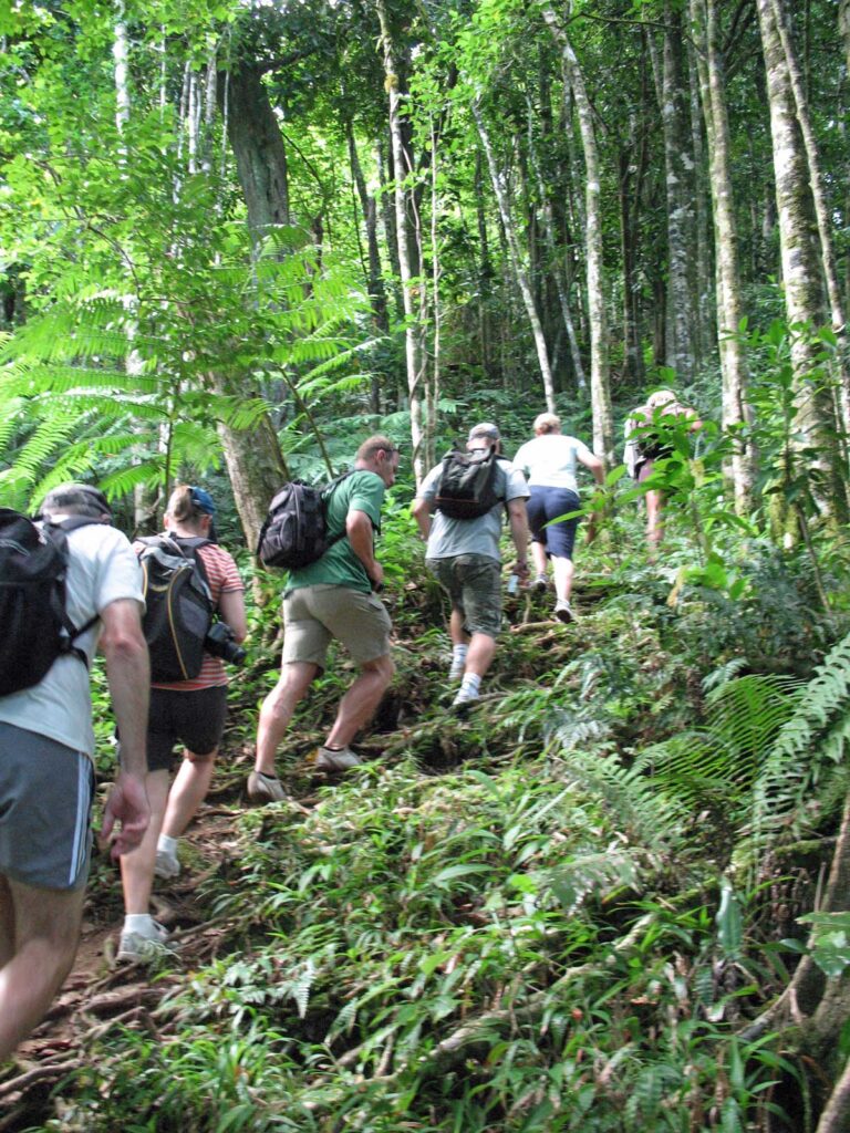The cross-island trek on Rarotonga, the Cook Islands.