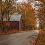 Autumn colour in Massachusetts.
