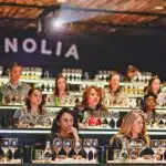 The Vinolia wine tasting room in Santiago, Chile.