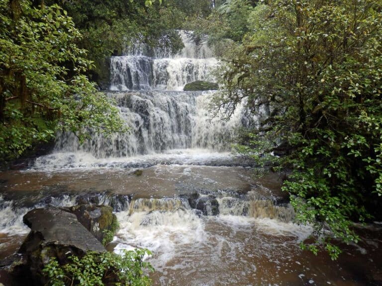 Purakaunui Falls on New Zealand's Catlins Coast.