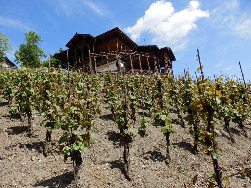 Viniční Altan Grébovka in Prague.