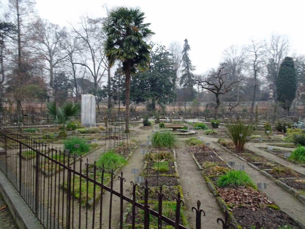 The Orto Botanico in Padua, Italy.