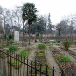 The Orto Botanico in Padua, Italy.