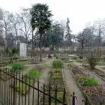 The Orto Botanico in Padua, Italy.