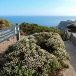 The walk to the Cape of Good Hope.