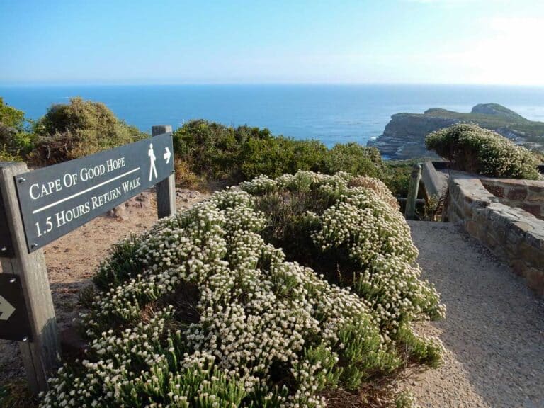The walk to the Cape of Good Hope.