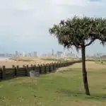 The Durban city skyline and Indian Ocean beaches.