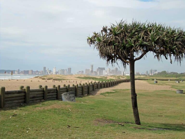 The Durban city skyline and Indian Ocean beaches.