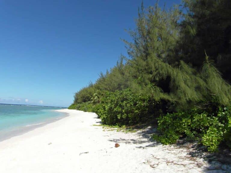 The beach at Ritidian Point, Guam.
