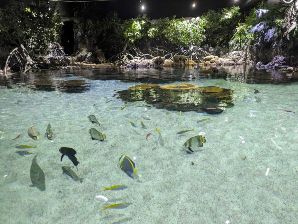 The Lagoon of Light at The Deep in Hull.