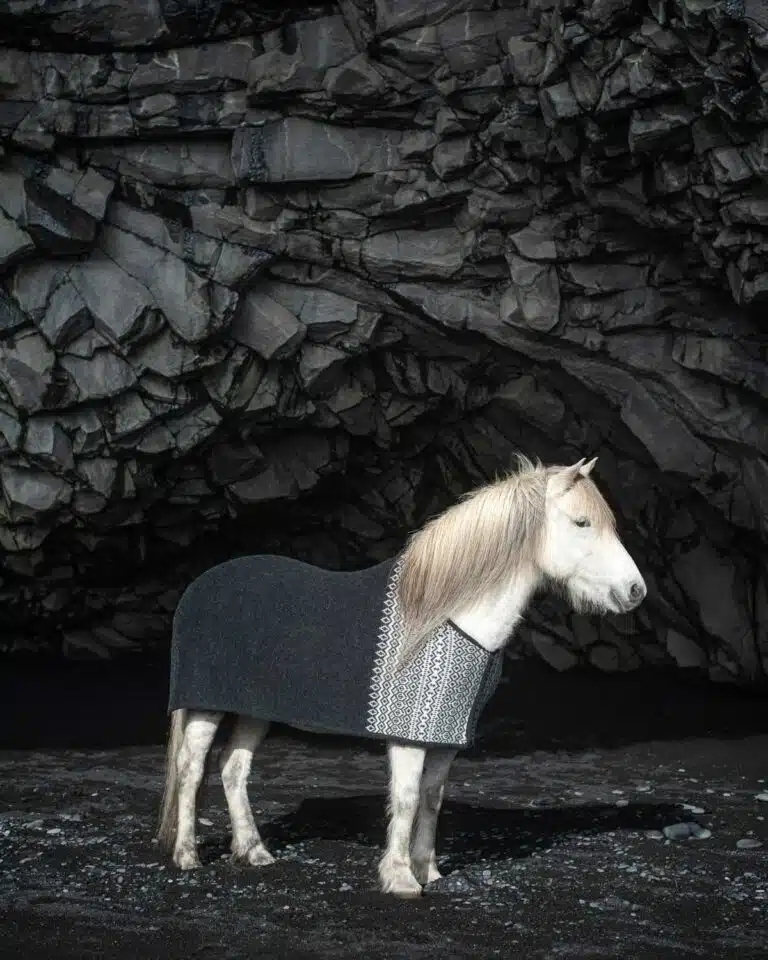 An Icelandic horse on the black sands of Reynisfjara Beach.