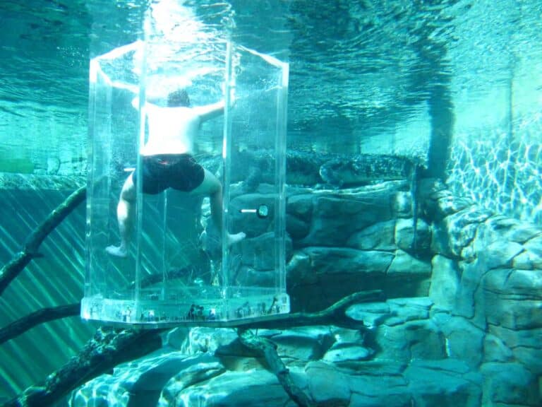 The Cage of Death at Crocosaurus Cove in Darwin, Northern Territory.