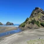 Piha Beach on Auckland's West Coast.