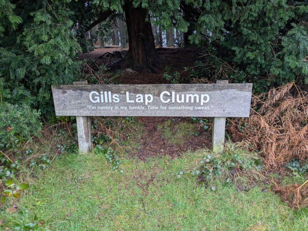 The Gills Lap Clump sign in Ashdown Forest, East Sussex.