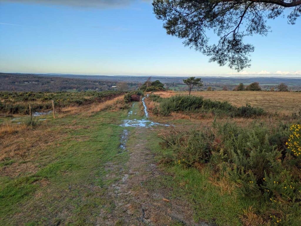 The path to the Heffalump Trap in Ashdown Forest, East Sussex, from the Gills Lap Clump.
