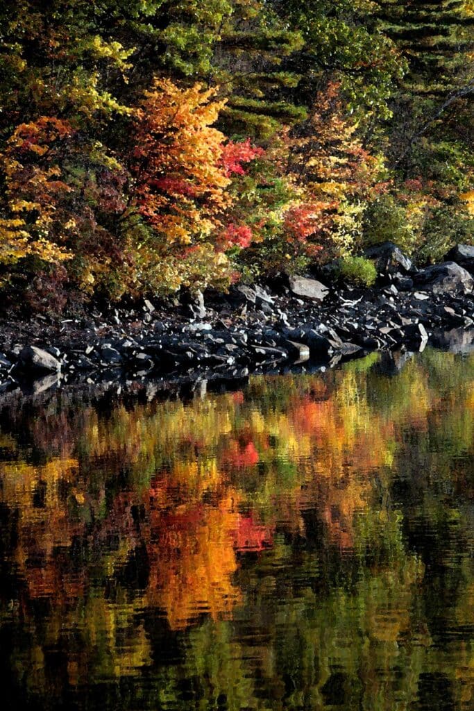 Autumnal scenery in Hopkinton State Park, Massachusetts.