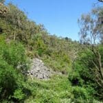 Morialta Conservation Park in Adelaide, South Australia.