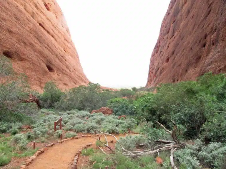 The Walpa Gorge Trail at Kata-Tjuta, Northern Territory.
