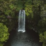 Millaa Millaa Falls in the Atherton Tablelands, Queensland.
