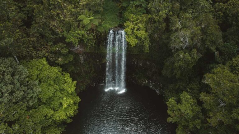 Millaa Millaa Falls in the Atherton Tablelands, Queensland.