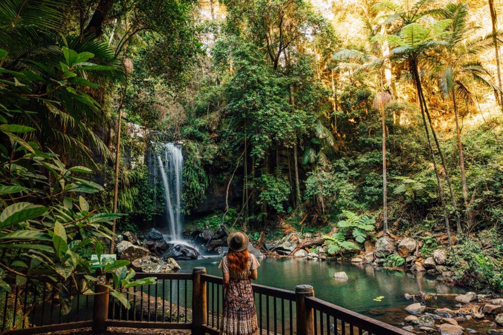 Curtis Falls in the Gold Coast Hinterland, Queensland.