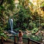 Curtis Falls in the Gold Coast Hinterland, Queensland.