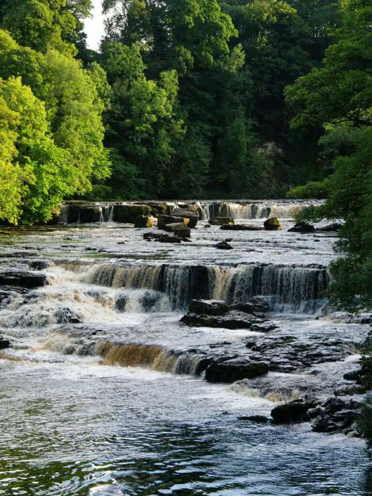 Lower Force at Aysgarth Falls, North Yorkshire.