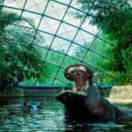 The Hippopotamus House at Berlin Zoo, Germany.