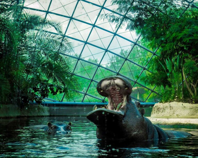 The Hippopotamus House at Berlin Zoo, Germany.