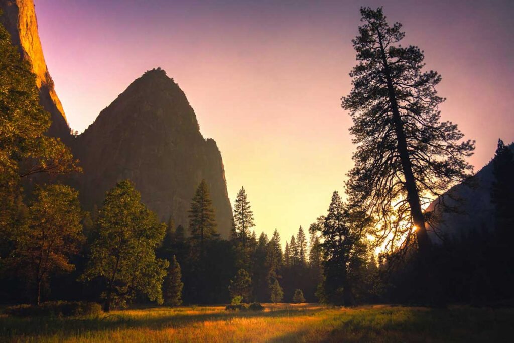 Sunset at El Capitan Meadow in Yosemite National Park, California.
