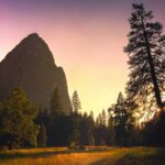 Sunset at El Capitan Meadow in Yosemite National Park, California.