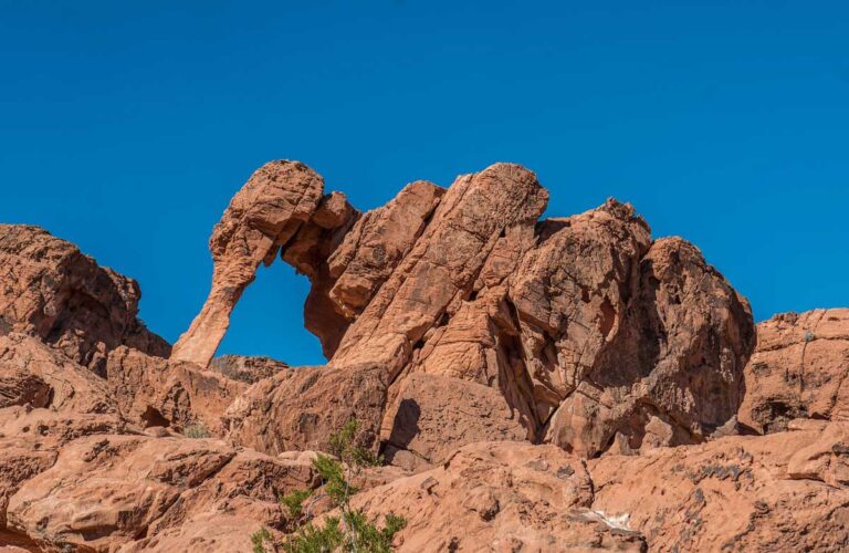 Elephant Rock in Valley of Fire State Park, Nevada.