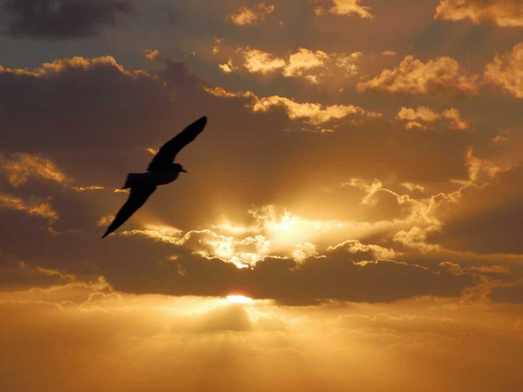 The obligatory Key West sunset photo taken from Mallory Square.