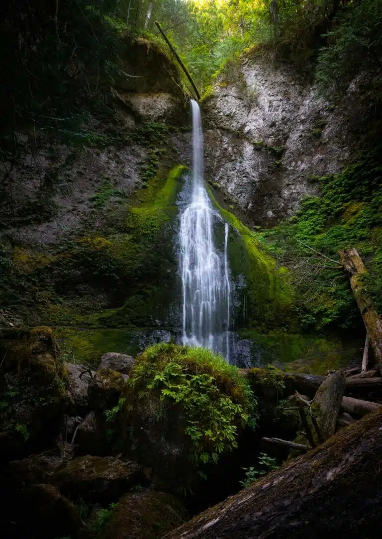 Marymere Falls in Olympic State Park, Washington,