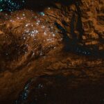 Glow worms at Natural Bridge in Springbrook Natural Park, Queensland.
