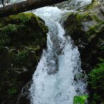 Sol Duc Falls in Olympic National Park, Washington.