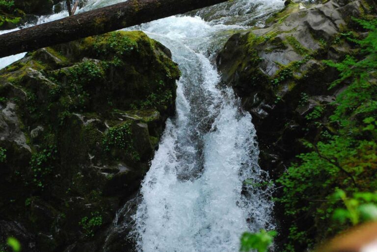 Sol Duc Falls in Olympic National Park, Washington.