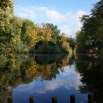 The Tiergarten in Berlin.