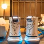 Leo and Cleo, the room service robots at Hotel EMC2 in Chicago.