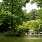 Fort Worth Botanic Garden in Fort Worth, Texas.