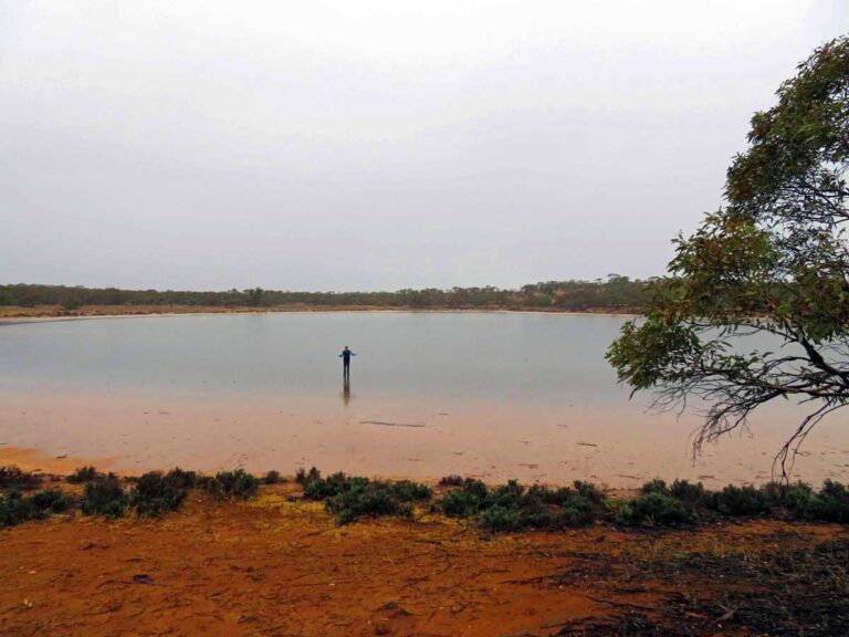 One of the pink lakes in Murray Sunset National Park, Victoria, Australia.
