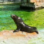 Tierpark Berlin in Berlin, Germany.